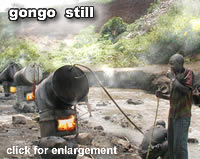 gongo brews